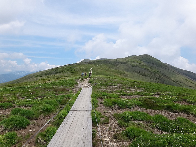 平標山・仙ノ倉山（谷川連峰）　日帰り登山　～～広大な稜線とお花畑と木道～～