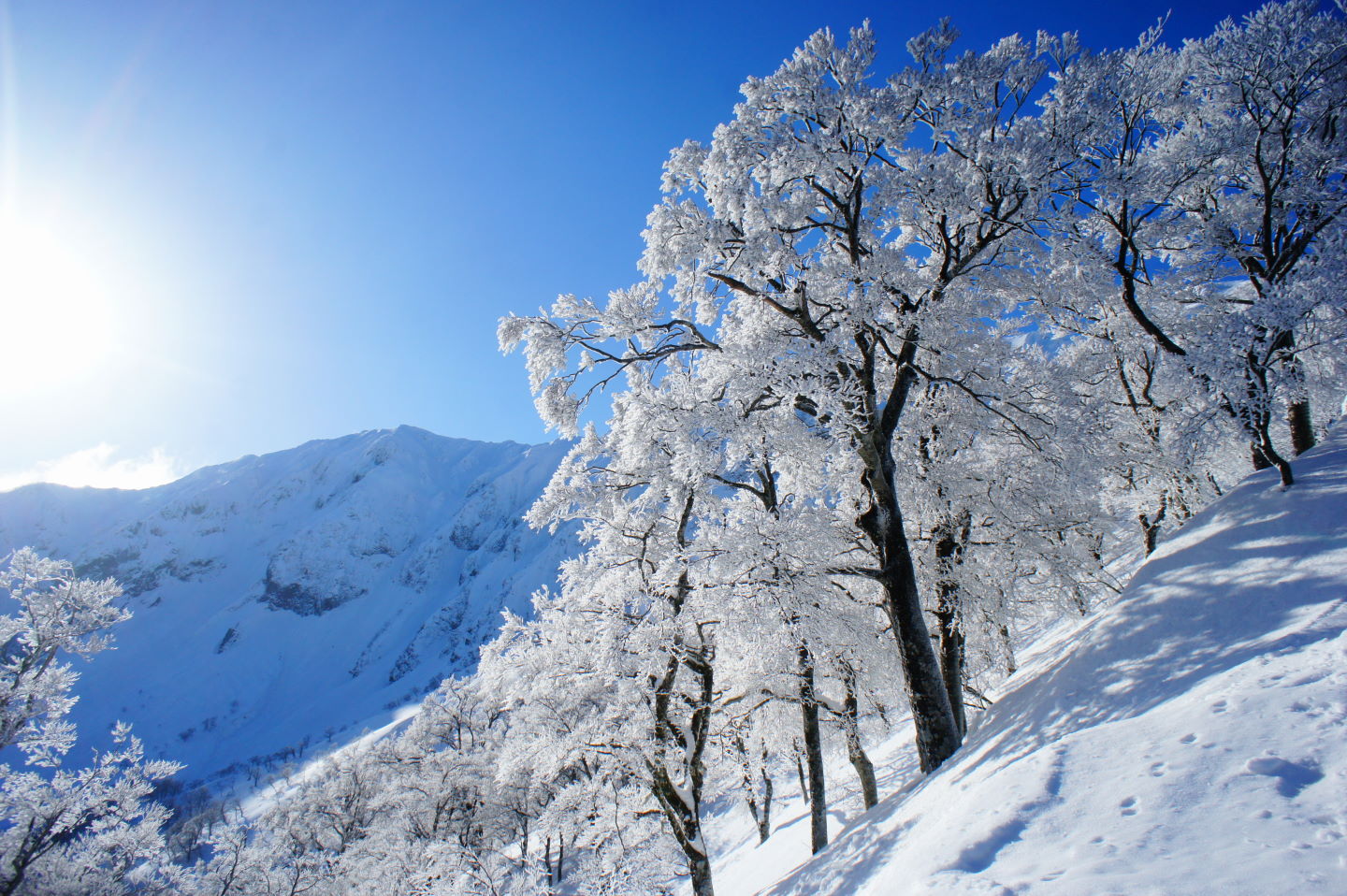 伯耆大山（鳥取）　冬山登山　～～雲海に聳える中国地方最高峰～～