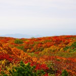 栗駒山（東北）　秋の紅葉登山　～～山を真っ赤に染める日本屈指の紅葉～～