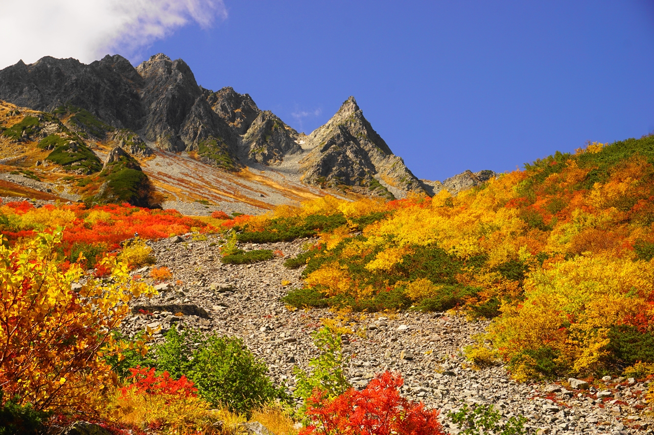 涸沢の紅葉と北アルプス奥穂高岳　テント泊登山