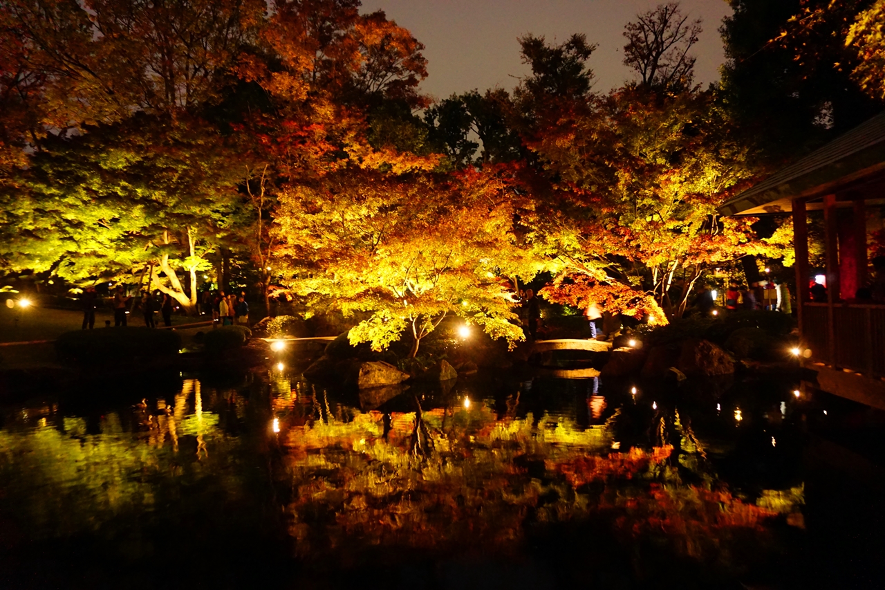 大田黒公園　静寂な日本庭園と紅葉ライトアップ