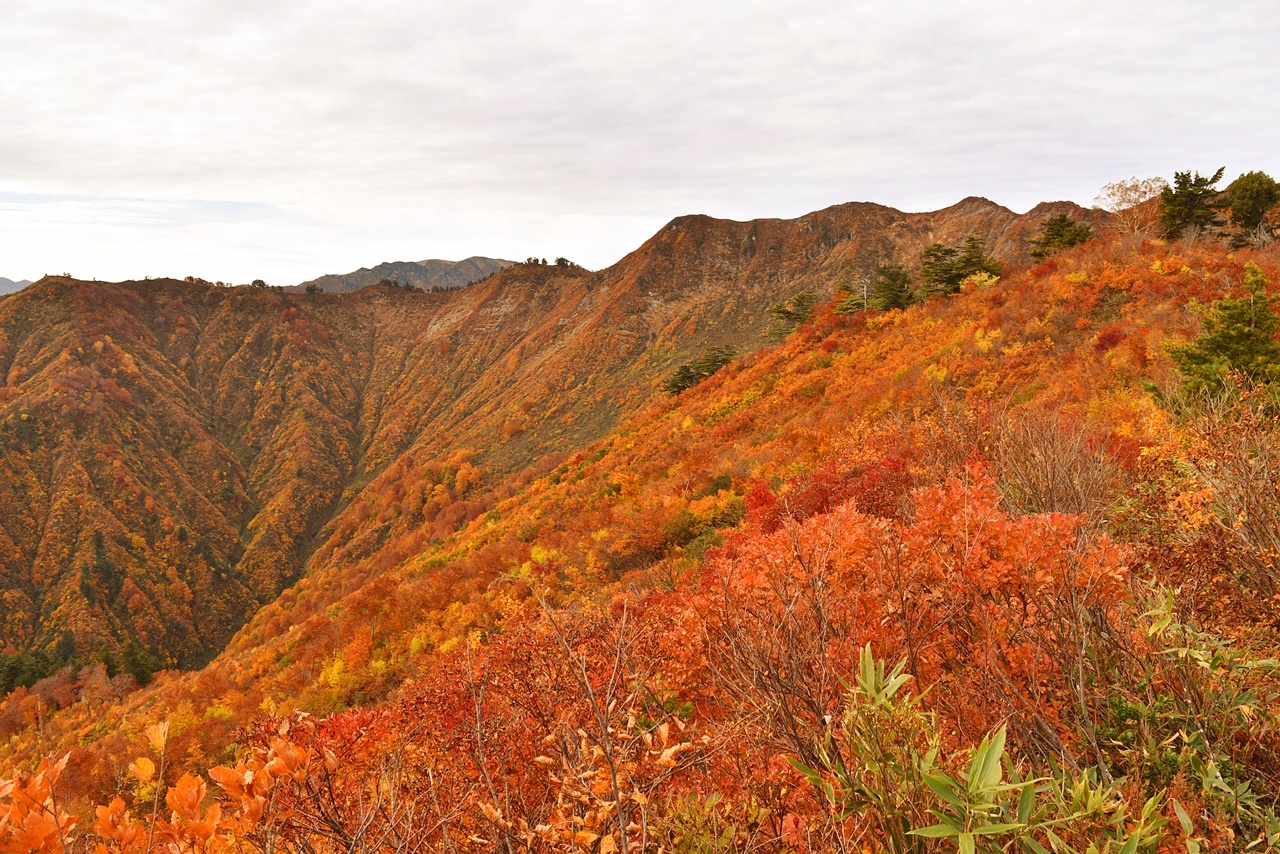 会津朝日岳　圧巻の紅葉風景広がる隠れた名峰へ　秋の日帰り登山