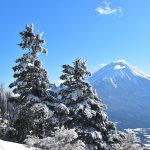 毛無山～雨ヶ岳　冬の雪山登山　樹氷と富士山の大展望
