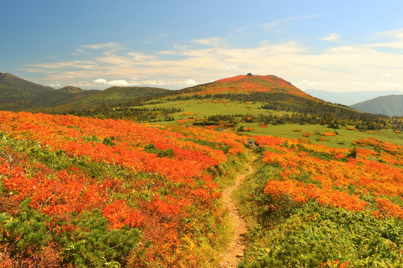 【東北】三ツ石山 圧巻の紅葉風景・バスで行く裏岩手縦走日帰り登山