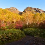 【北アルプス】焼岳・新中の湯ルート　圧巻の紅葉風景　秋の日帰り登山
