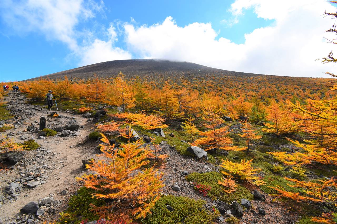 【浅間山】前掛山～Jバンド～黒斑山周回　紅葉の絶景！秋の日帰り登山