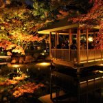 【荻窪】大田黒公園 紅葉ライトアップ 幻想的な庭園風景！