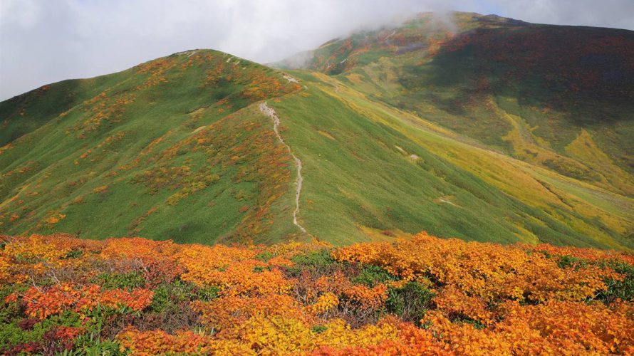 【東北】月山 紅葉登山 真っ赤な稜線と黄金の湿原へ