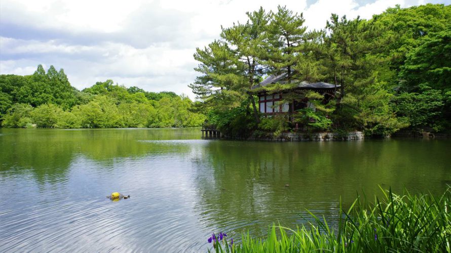 【練馬】石神井公園 都会の尾瀬！？水と緑豊かなオアシス