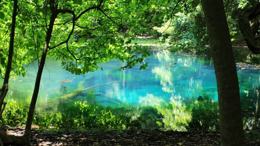 【鳥海山】エメラルドグリーンの神秘の泉「丸池様」へ