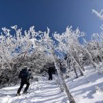 【北八ヶ岳】蓼科山 樹氷と雲海の絶景！冬の雪山登山