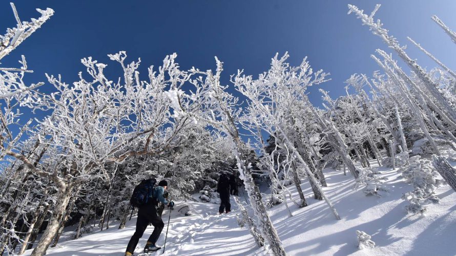 【北八ヶ岳】蓼科山 樹氷と雲海の絶景！冬の雪山登山