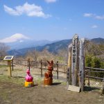 【丹沢】大野山 桜とミツマタ咲く春の登山