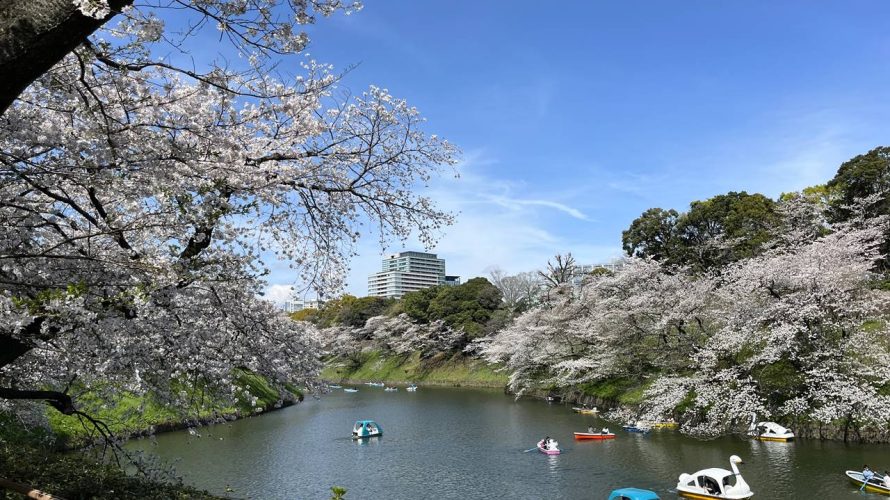 【東京】桜の名所 千鳥ヶ淵〜上野公園・不忍池 お花見ハイキング